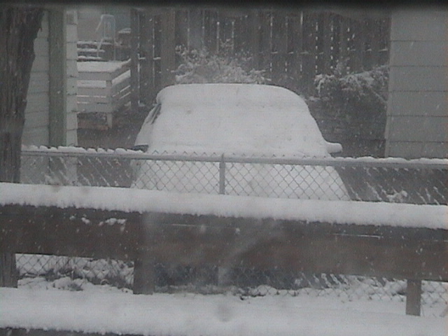DSC00036.JPG