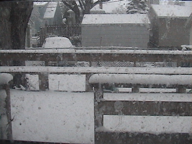 DSC00037.JPG