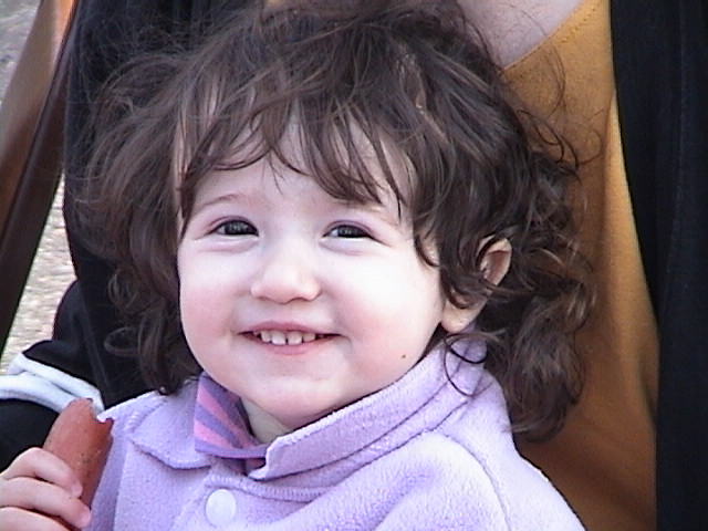 bushee05.jpg