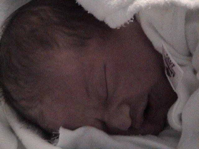 DSC00106.JPG