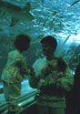 Underwater World at the Mall