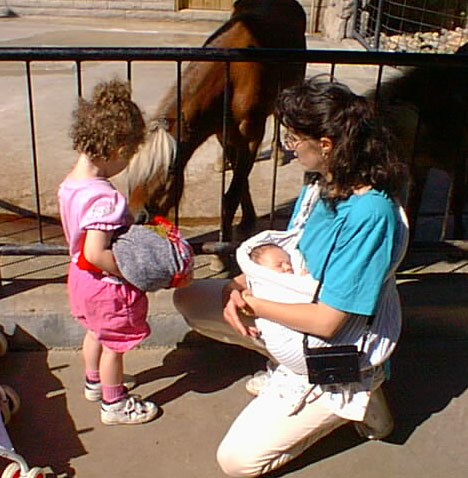 More horses to feed